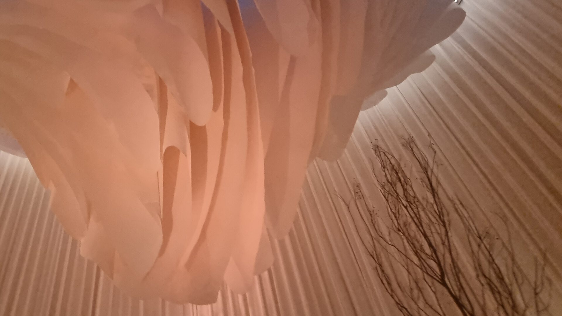 20250411_183438